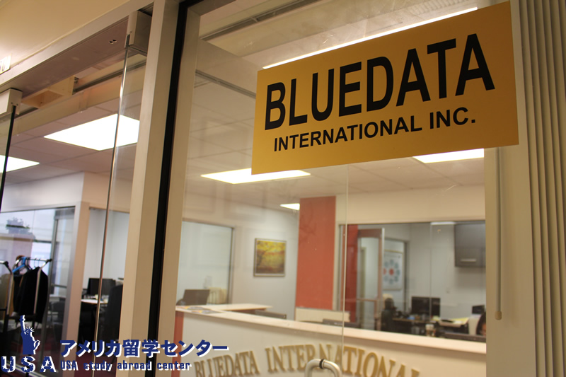 Bluedata International
